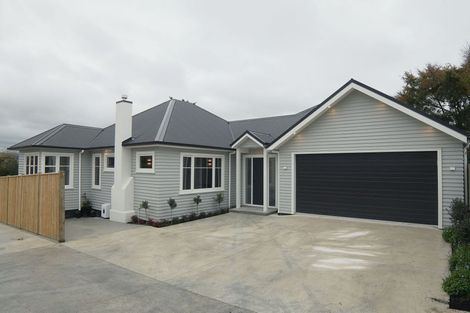 Photo of property in 24b Manson Street, Terrace End, Palmerston North, 4410