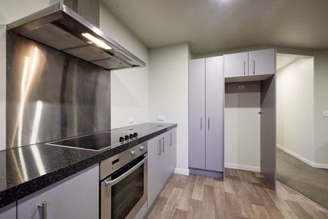 Photo of property in 277 Mount Fyffe Road, Kaikoura Flat, Kaikoura, 7300