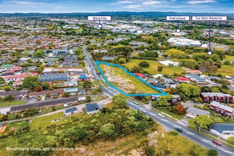 Photo of property in 64 Edmonton Road, Henderson, Auckland, 0612