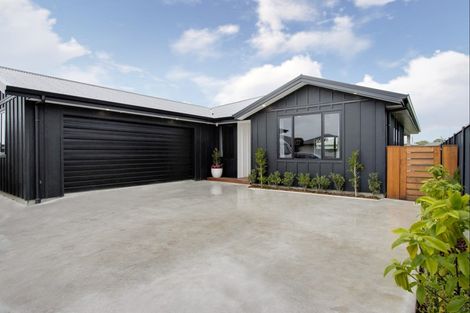 Photo of property in 60 Lochhead Street, Mahora, Hastings, 4120