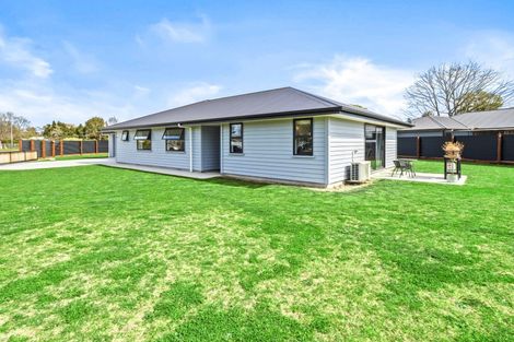 Photo of property in 20 David Street, Hinds, Ashburton, 7773