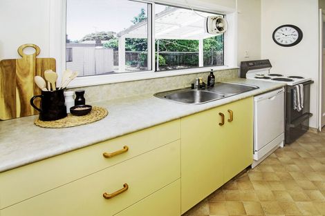 Photo of property in 16a Michael Street, Kuripuni, Masterton, 5810