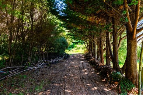 Photo of property in 130 Maori Pa Road, Delaware Bay, Nelson, 7071