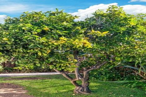 Photo of property in 1/84 Nile Road, Milford, Auckland, 0620