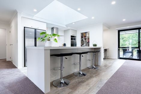 Photo of property in 1 Sudeng Street, Levin, 5510