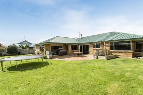 Photo of property in 28 Silverstream Drive, Mosgiel, 9024