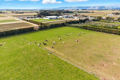 Photo of property in 70 Joblins Road, Levin, 5571