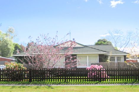 Photo of property in 81 Hinemoa Avenue, Taupo, 3330