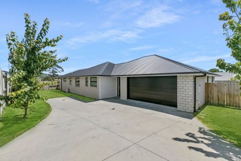 Photo of property in 8c No 2 Road, Te Puke, 3119
