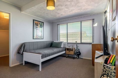Photo of property in 8 Mcarthur Street, Terrace End, Palmerston North, 4410