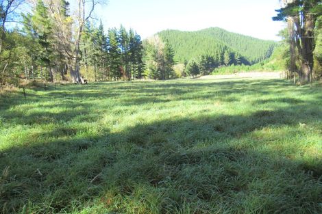 Photo of property in 99 Serpentine River Road, Aniseed Valley, Richmond, 7081