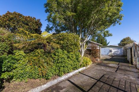 Photo of property in 105 Brecon Road, Stratford, 4332