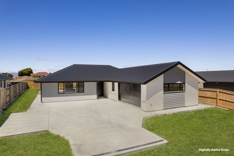 Photo of property in 174 Ranfurly Road, Feilding, 4702