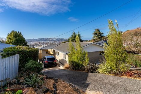 Photo of property in 56 College Street, Caversham, Dunedin, 9012