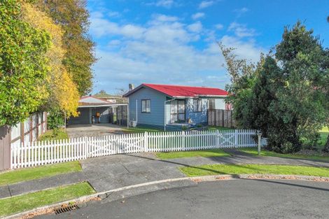 Photo of property in 6 Walton Place, Ngatea, 3503