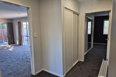 Photo of property in 20a Plunket Street, Spreydon, Christchurch, 8024