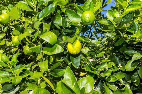 Photo of property in 16 Akatarawa Road, Brown Owl, Upper Hutt, 5018