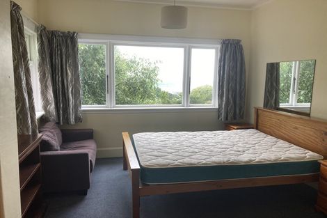 Photo of property in 34 Tweed Street, Roslyn, Dunedin, 9010