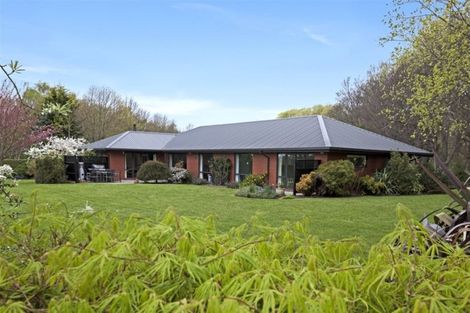 Photo of property in 36 Waiora Lane, Waikuku, Rangiora, 7473