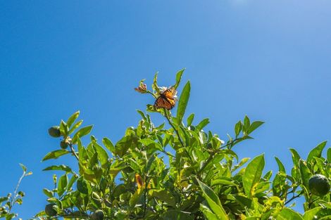 Photo of property in 28 Mahoe Street, Levin, 5510