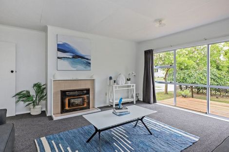 Photo of property in 25 Tasman Street, Havelock North, 4130