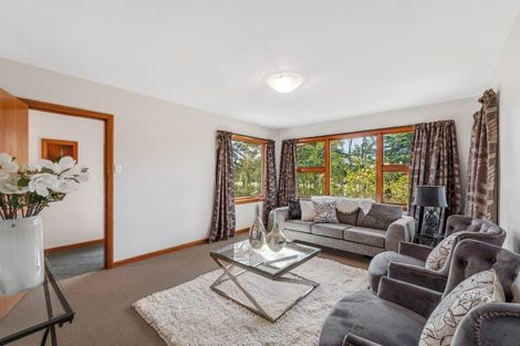 Photo of property in 543 Drain Road, Doyleston, Leeston, 7682