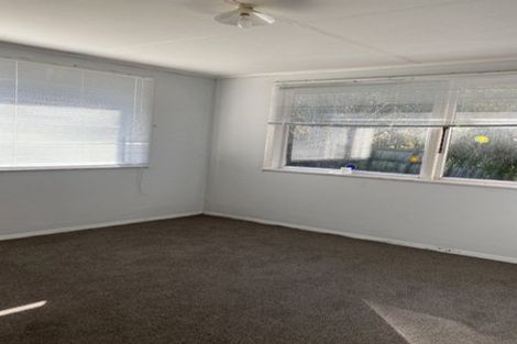 Photo of property in 65 Winstone Avenue, Chartwell, Hamilton, 3210