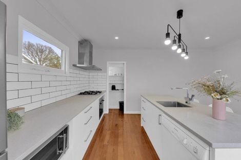 Photo of property in 34 Horne Street, Hamilton Central, Hamilton, 3204