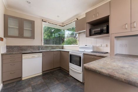 Photo of property in 6 Thomson Street, Lookout Point, Dunedin, 9011