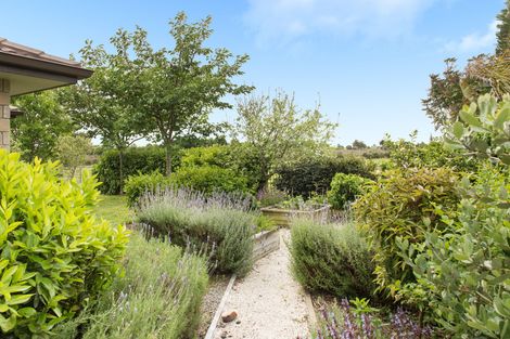 Photo of property in 119 Oriental Parade, Papamoa Beach, Papamoa, 3118