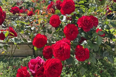 Photo of property in 17 Lewer Road, Whangaroa, Kaeo, 0478