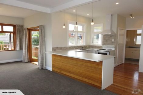 Photo of property in 115 Tahuna Road, Andersons Bay, Dunedin, 9013