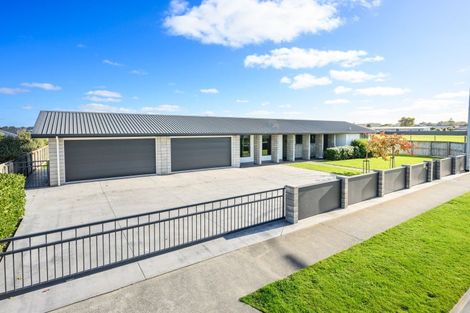 Photo of property in 123 Pharazyn Street, Feilding, 4702