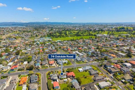 Photo of property in 74 Oakdale Road, Mount Roskill, Auckland, 1041