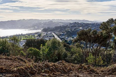 Photo of property in 23 Seascape View, Paremata, Porirua, 5024