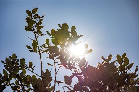 Photo of property in 15 Lancaster Street, Dinsdale, Hamilton, 3204