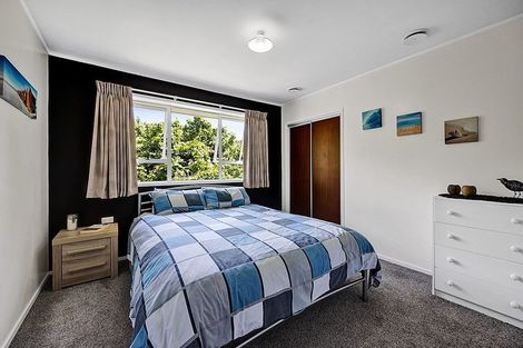 Photo of property in 9e Kereru Place, Upper Vogeltown, New Plymouth, 4310