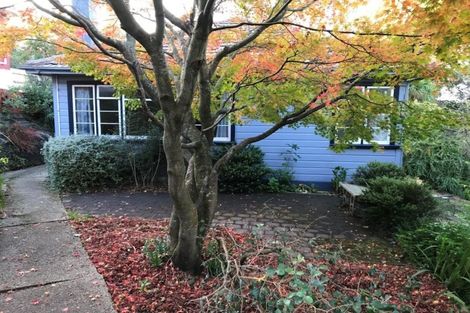 Photo of property in 43 Lawrence Street, Mornington, Dunedin, 9011