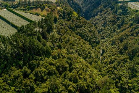 Photo of property in 827 No 1 Road, Te Ranga, Te Puke, 3182