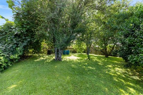 Photo of property in 76 Lorne Street, Morrinsville, 3300