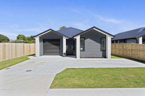 Photo of property in 67b Scott Street, Leamington, Cambridge, 3432