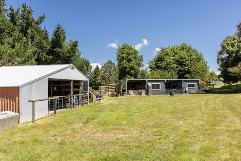 Photo of property in 1854 Dartmoor Road, Dartmoor, Napier, 4186