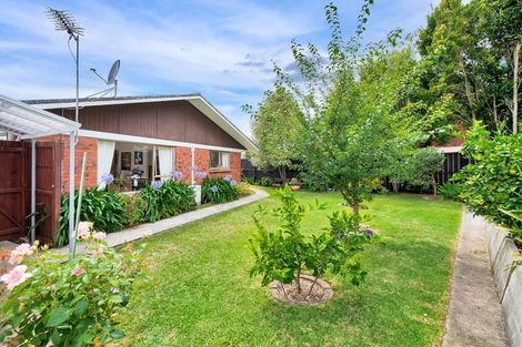 Photo of property in 1/149 Farquhar Road, Glendene, Auckland, 0602