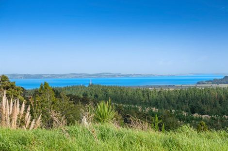 Photo of property in 201 Tuhirangi Road, Makarau, 0984