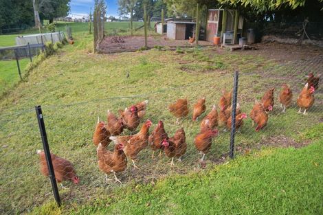 Photo of property in 950b No 2 Road, Te Ranga, Te Puke, 3182