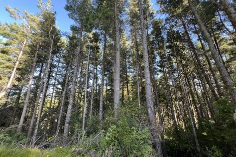 Photo of property in 432 State Highway 6, Coal Creek, Greymouth, 7802