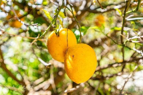 Photo of property in 5a Whaka Street, Maungaturoto, 0520