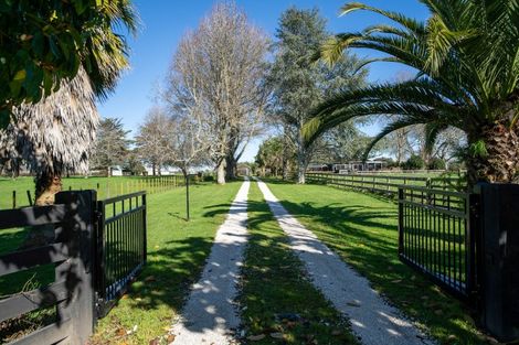 Photo of property in 370 Bellevue Road, Matangi, Cambridge, 3493