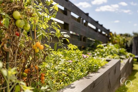 Photo of property in 132 Sutherland Road, Brookfield, Tauranga, 3110