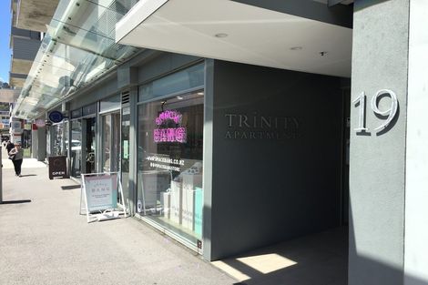 Photo of property in Trinity Apartments, 19 College Street, Te Aro, Wellington, 6011